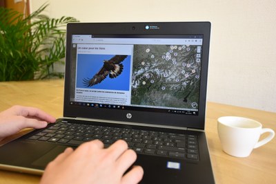 Un kaléidoscope de paysages alpins