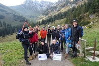 Grünerlen schwenden bei Schnee und Stimmung