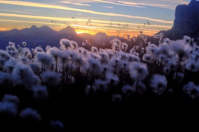 Besucherlenkung im Alpenraum