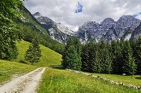 Die Via Alpina braucht dich!