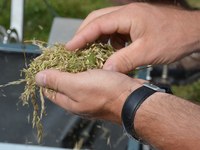 Naturvielfalt stärken: Pilotregionen teilen Erfahrungen