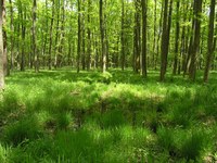 Was die Natur in den Alpen leistet