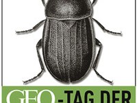 6. Tag der Artenvielfalt mit Schwerpunkt am Brenner