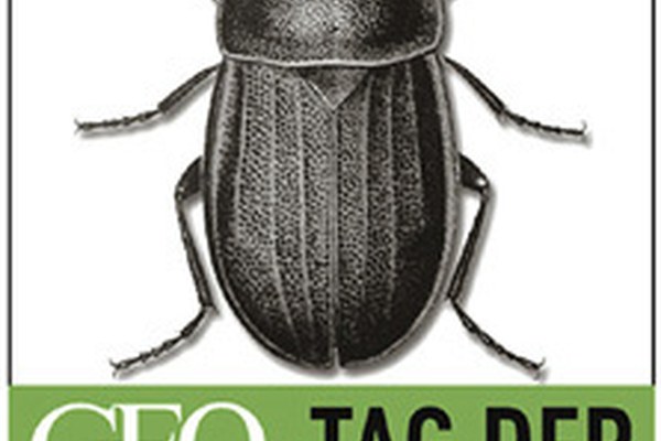 6. Tag der Artenvielfalt mit Schwerpunkt am Brenner