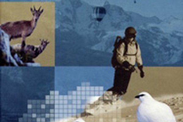 Neue Publikation zu Freizeitaktivitäten und Alpentieren