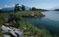 Appell zur Umsetzung des Entwicklungskonzeptes "Zukunft Alpenrhein"