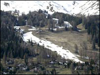 Pistenraupen und Kunstschnee bedrohen Pflanzenvielfalt