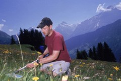 Langfristige Störung alpiner Ökosysteme durch Düngung