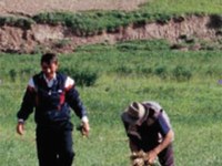 Internationaler Tag der Berge zum Thema Biodiversität