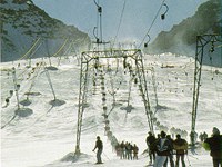 Skipisten eine Gefahr für Vögel