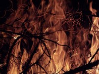 Hunderte Hektar Wald in Italien in Flammen