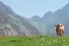 Tourismuspolitik unter der Lupe - werden die Mittel nachhaltig eingesetzt?