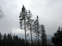 Wetter und Klima in den Alpen