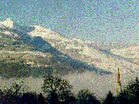 Starke Netze für fette Fänge - Von der Kooperation übers Netzwerk zum Cluster:  der neue Weg der Wirtschaft