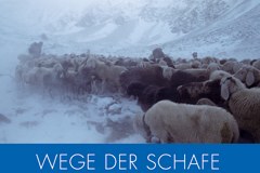 Neuerscheinung: Wege der Schafe