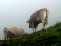 AgriMontana und AlpFUTUR