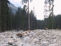 Klimaziele: klarer Appell aus der Wissenschaft