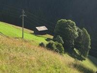 Welche Landwirtschaft für Europa?