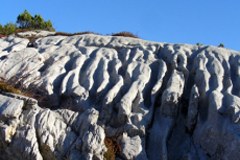 Neue Geocoaching Plattform für Natura Trails in Österreich