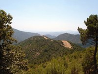 Neuregelung der öffentlichen Körperschaften in Italien birgt Risiko für Nationalparks