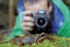 Biodiversitäts-Wettbewerbe für Fotografinnen und Bauern