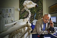 Vernetzt! Ökologisches Kontinuum und Econnect