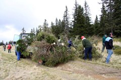 Slowenien: Kulturlandschaft erhalten in den Voralpen