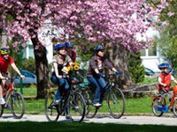 Seitenblick: Energieautarkie - Der Weg für Gemeinden mit Weitblick