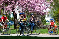 Seitenblick: Energieautarkie - Der Weg für Gemeinden mit Weitblick