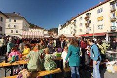 "Alpenstadt-Jahr" eröffnet