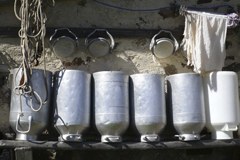 Faszination Alpen: Durch die Linse gesehen