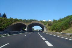 Internationales Abkommen stärkt Alpen-Karpaten-Korridor