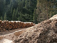 Ausgezeichnet: Projekte für alpinen Schutzwald