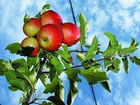 Aufwind für Bürgerinitiativen