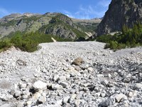 Bodenschutz in den Alpen auf dem Prüfstand