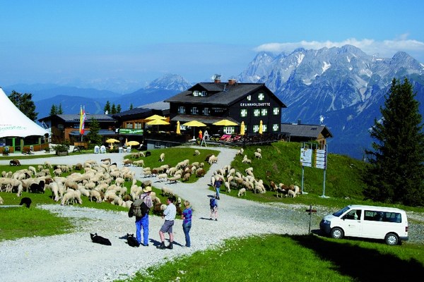 Bucherscheinung: „Praxishandbuch zur Wiederbelebung von Almen mit Schafen"