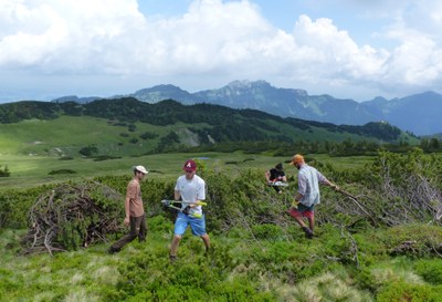 Bürgerbeteiligung: Wie wir Land gewinnen