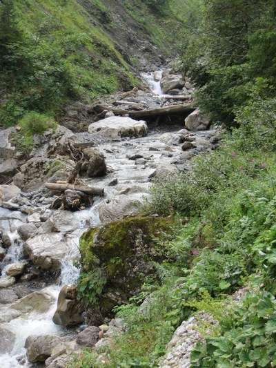 CIPRA-Jahresfachtagung: "Wassertrog Alpen"