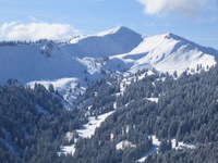 14. Januar: Demo Riedberger Horn