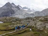 Eine Reise durch die bedrohte Eiswelt der Alpen