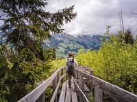 Eusalp ohne Schweizer Kantone?