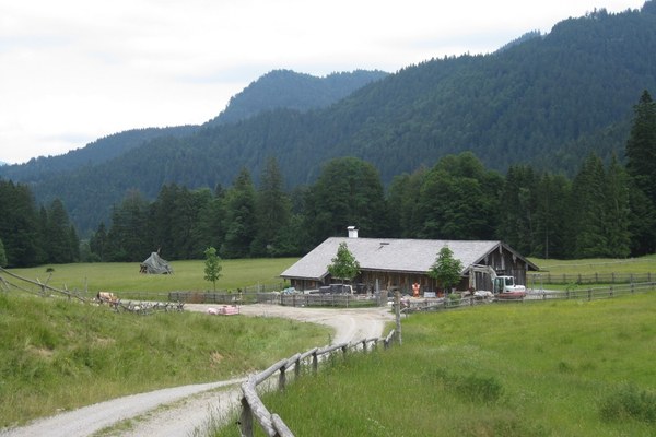 Gentrifizierung der Almen: die Causa Saurüssel