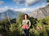 Ideen wie Apfelbäume