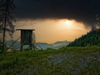 Kritik an neuen Jagdgesetzen