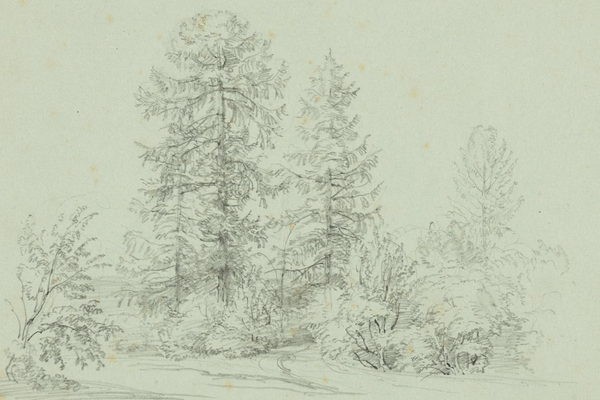 Kurzgeschichte: Eine Nacht in Vaduz