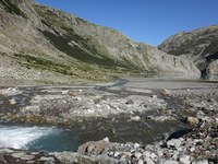 Lebendige Gewässer als Chance