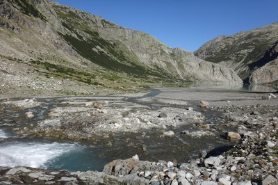 Lebendige Gewässer als Chance