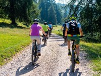 Passt das E-Bike in die Alpen?