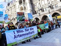 Stimmen für die Bienen