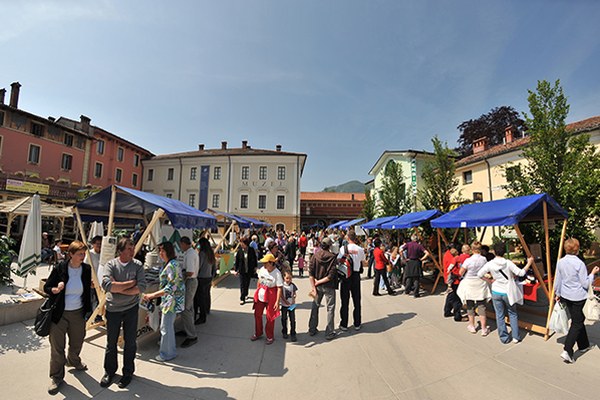 Tolmin für Stadtpolitik ausgezeichnet